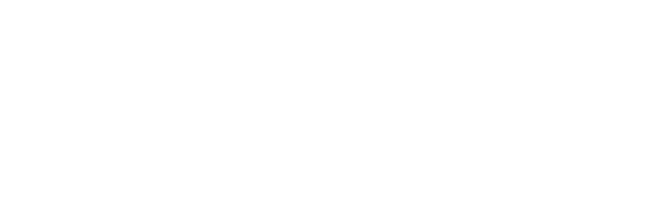 Gulf Skies Virtual Airlines